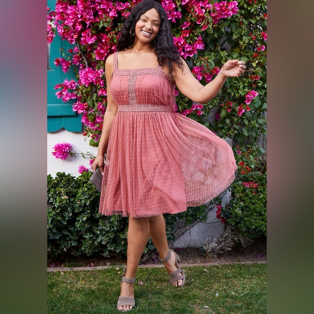 Plus Size Mesh Crochet Trim Dress